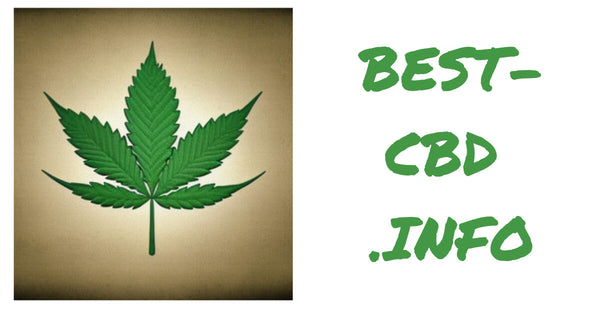 BEST CBD INFO logo