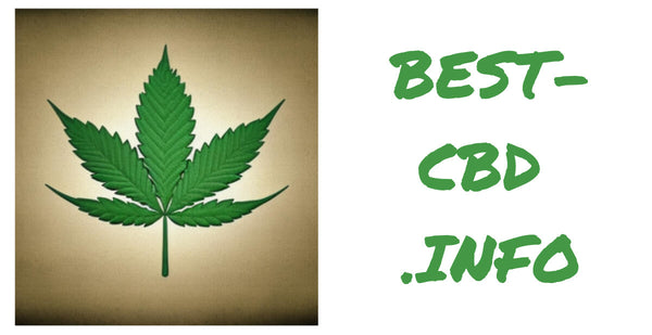 BEST CBD INFO Logo